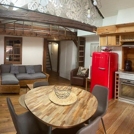 Appartement Plein De Charme - Coeur Vieille Ville Annecy Ngoại thất bức ảnh