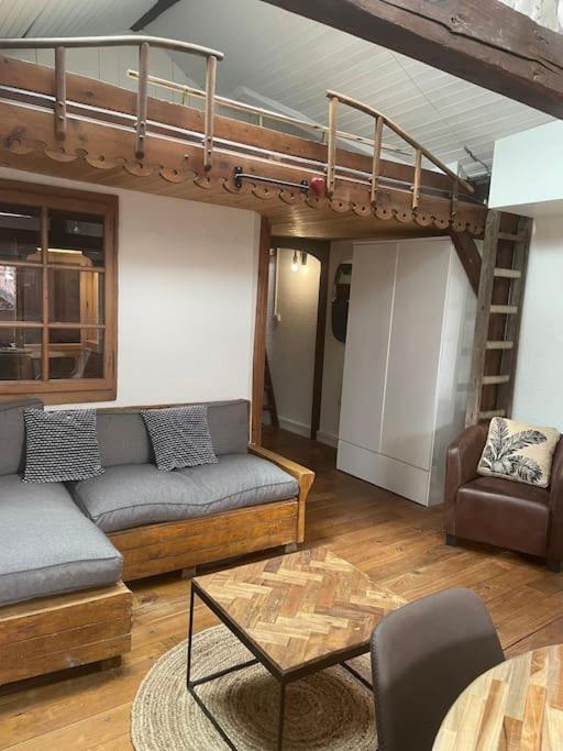 Appartement Plein De Charme - Coeur Vieille Ville Annecy Ngoại thất bức ảnh